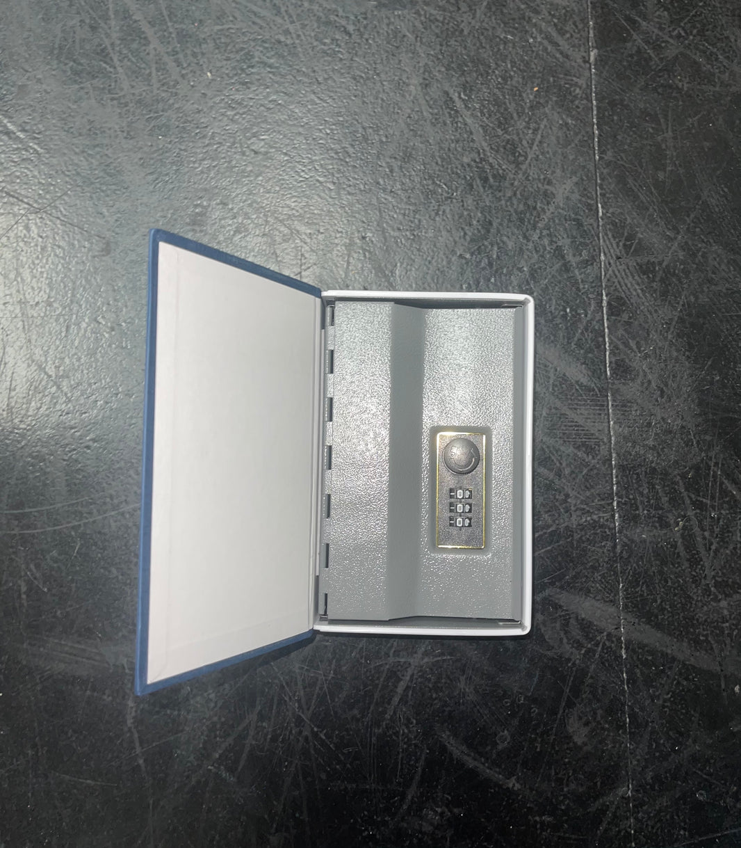 Deadhomies book safe